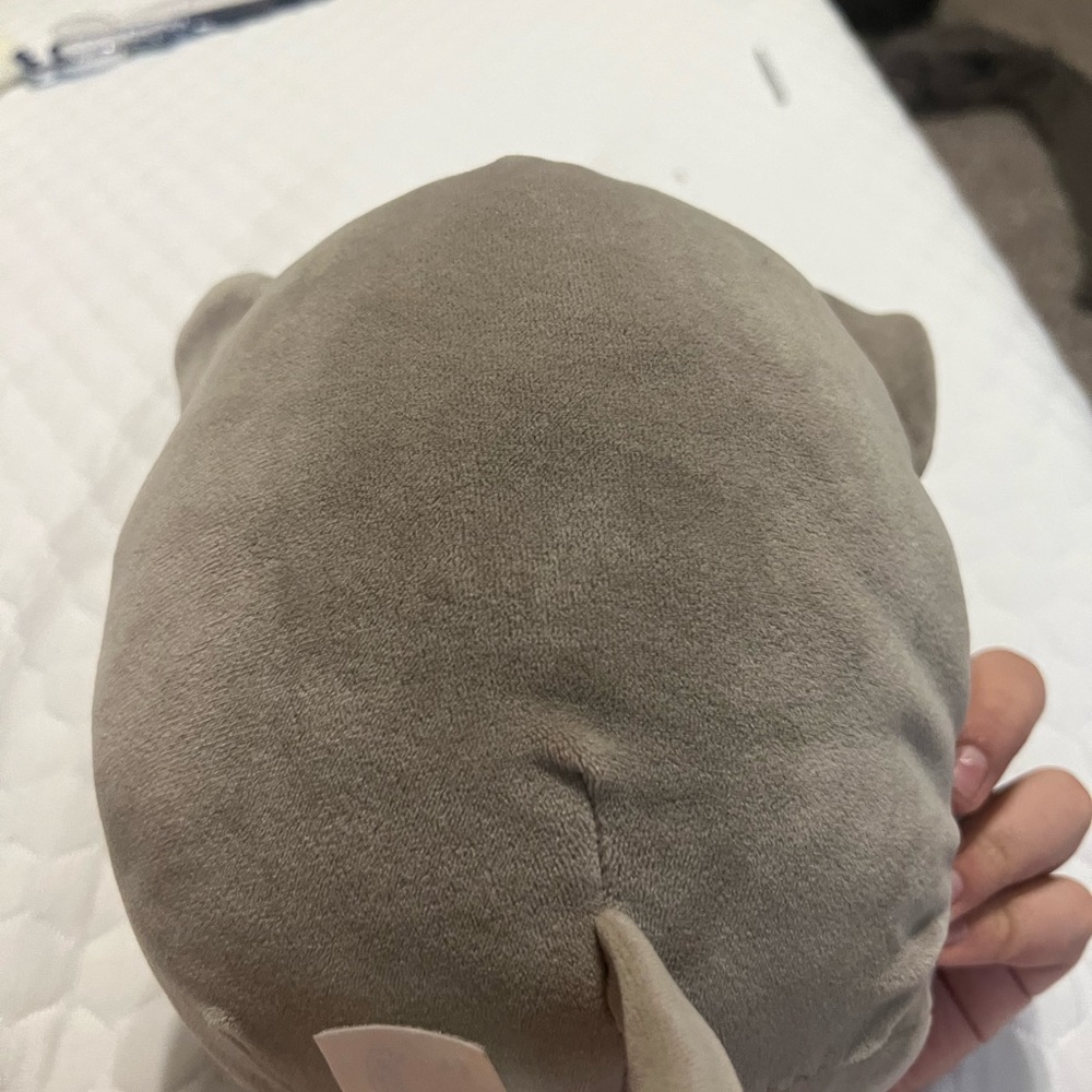 ELEPHANT SQUISHMELLOW, RARE